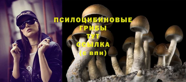 прущий лед Армянск
