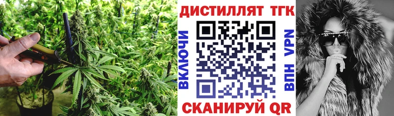 Дистиллят ТГК Wax  Шацк 