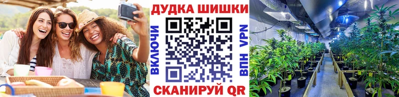 Бошки марихуана OG Kush  Шацк 
